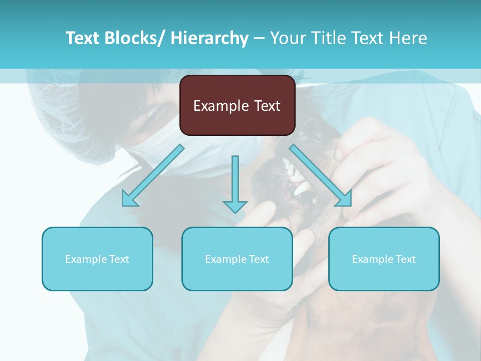 Animal Canine Examination PowerPoint Template