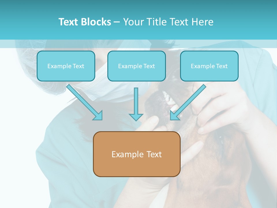 Animal Canine Examination PowerPoint Template
