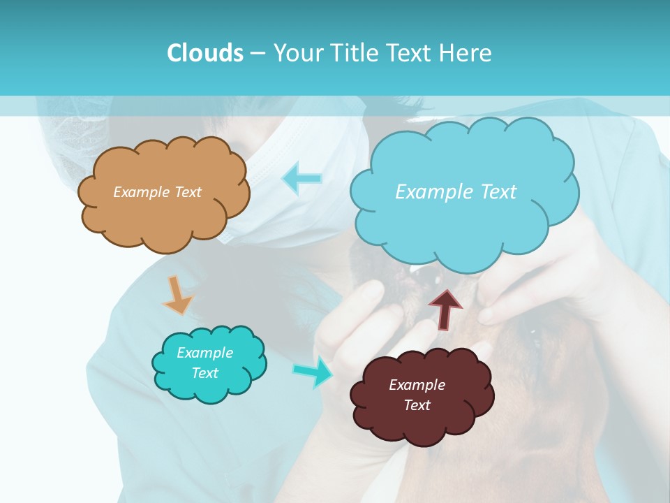 Animal Canine Examination PowerPoint Template
