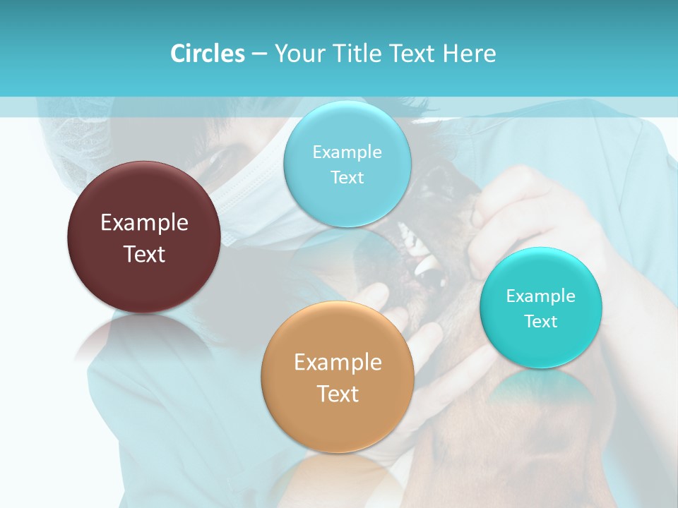 Animal Canine Examination PowerPoint Template