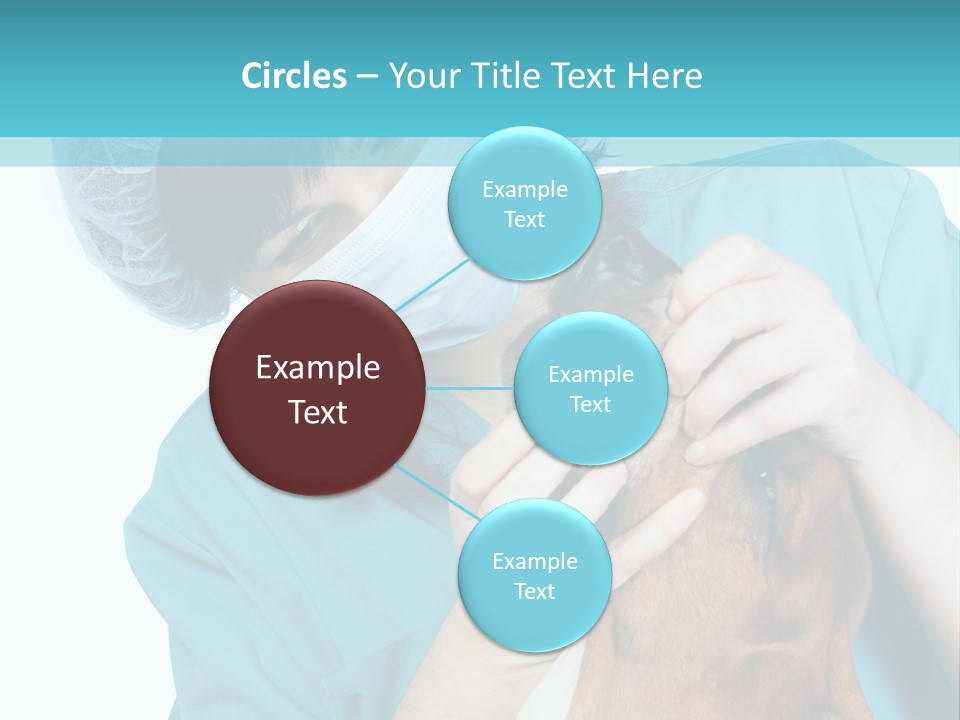 Animal Canine Examination PowerPoint Template