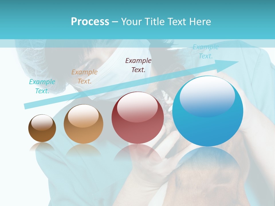 Animal Canine Examination PowerPoint Template