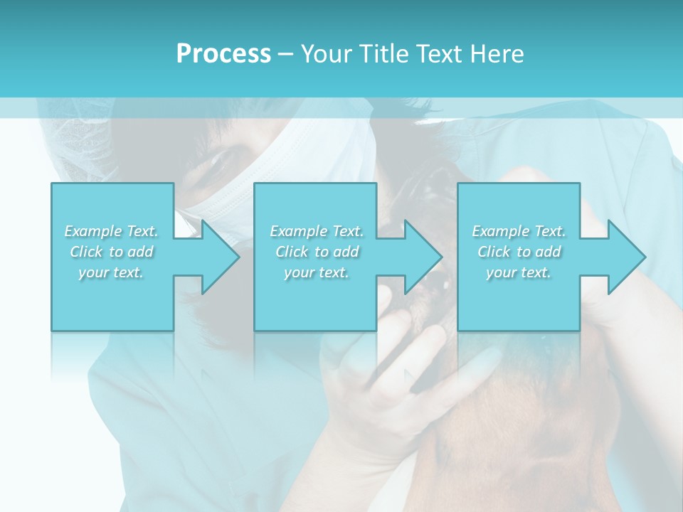 Animal Canine Examination PowerPoint Template