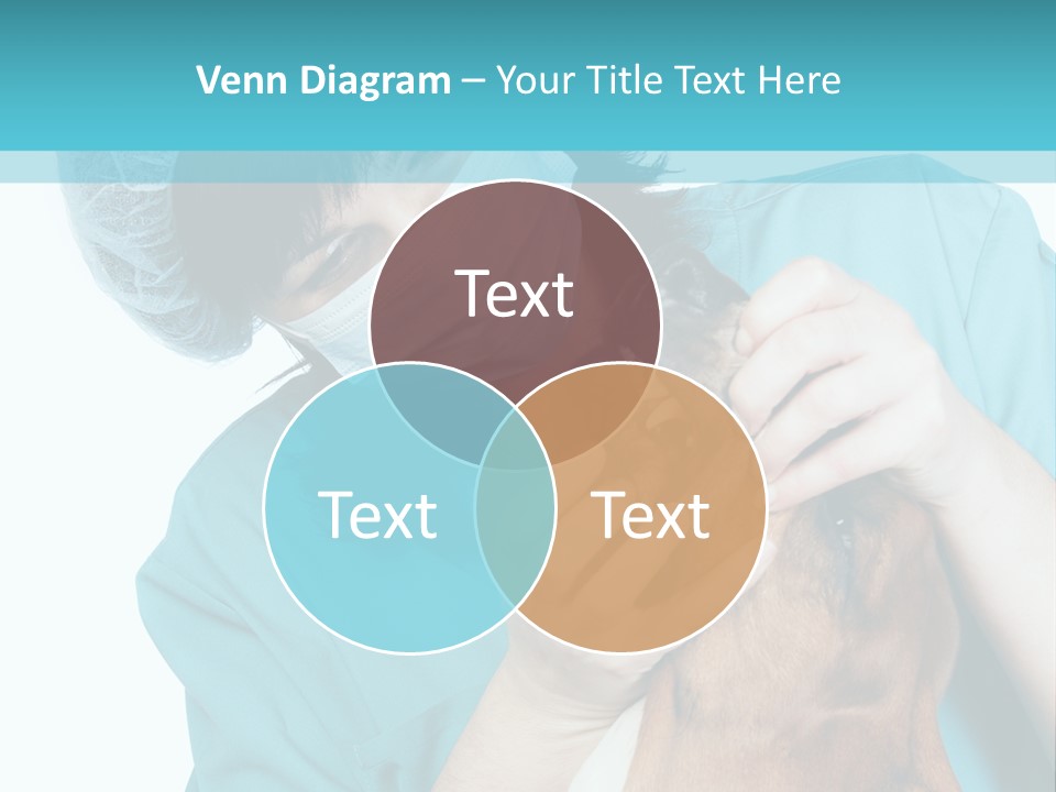 Animal Canine Examination PowerPoint Template