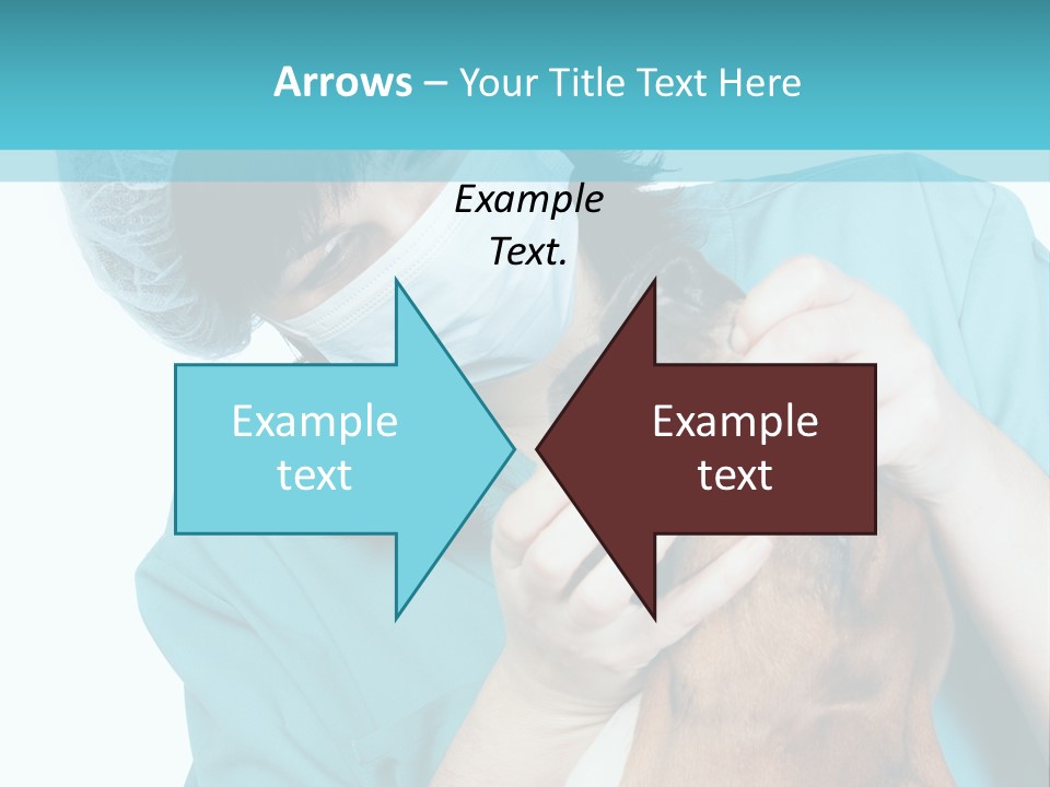 Animal Canine Examination PowerPoint Template