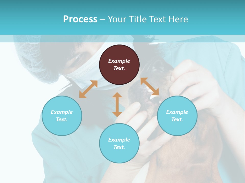 Animal Canine Examination PowerPoint Template