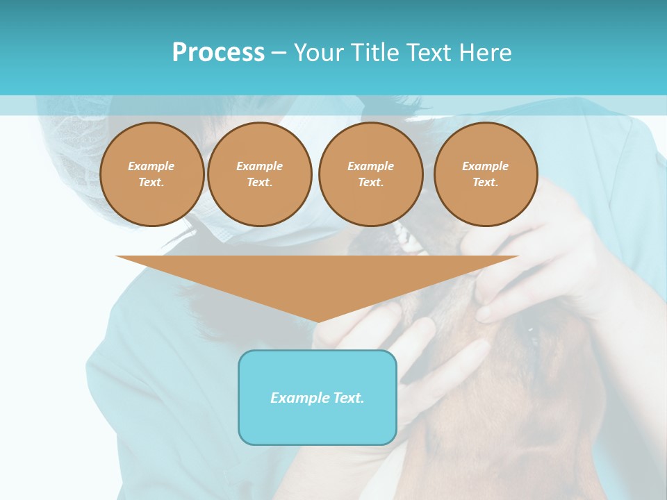 Animal Canine Examination PowerPoint Template