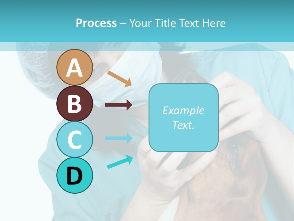 Animal Canine Examination PowerPoint Template