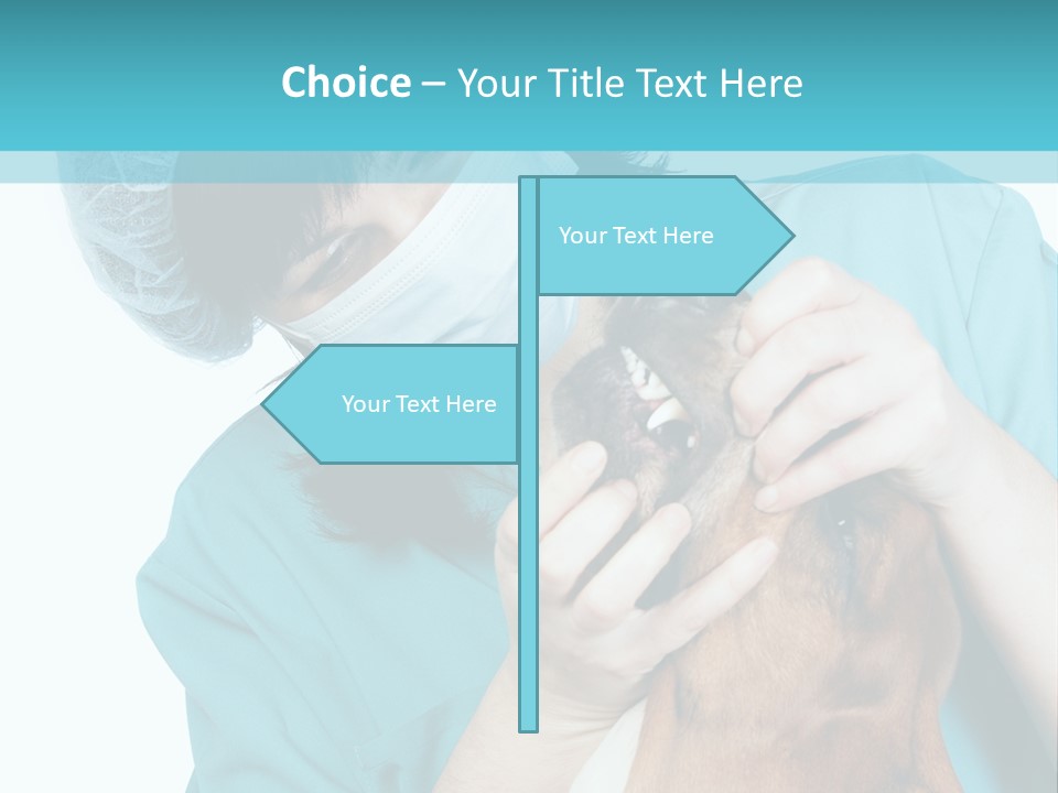 Animal Canine Examination PowerPoint Template