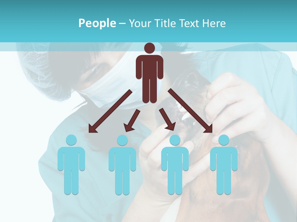 Animal Canine Examination PowerPoint Template