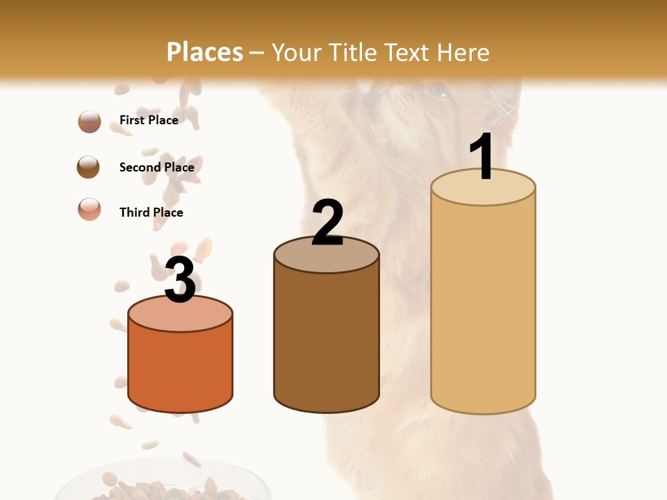 Health Feeding Snacks PowerPoint Template