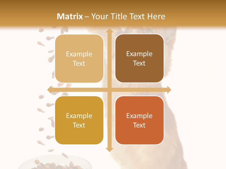 Health Feeding Snacks PowerPoint Template