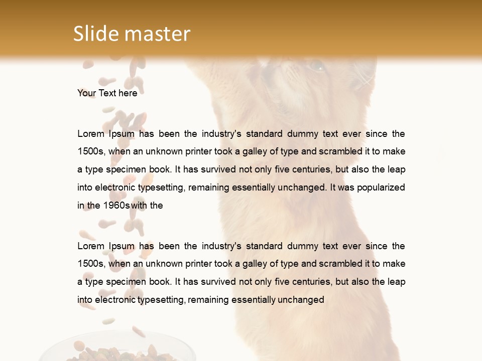 Health Feeding Snacks PowerPoint Template