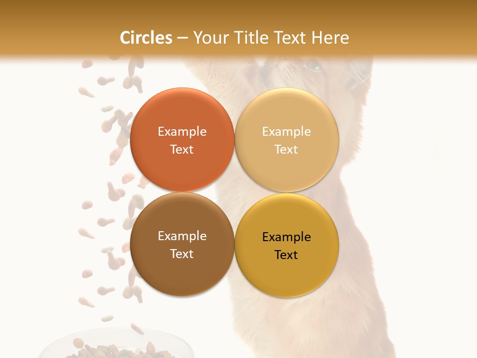 Health Feeding Snacks PowerPoint Template