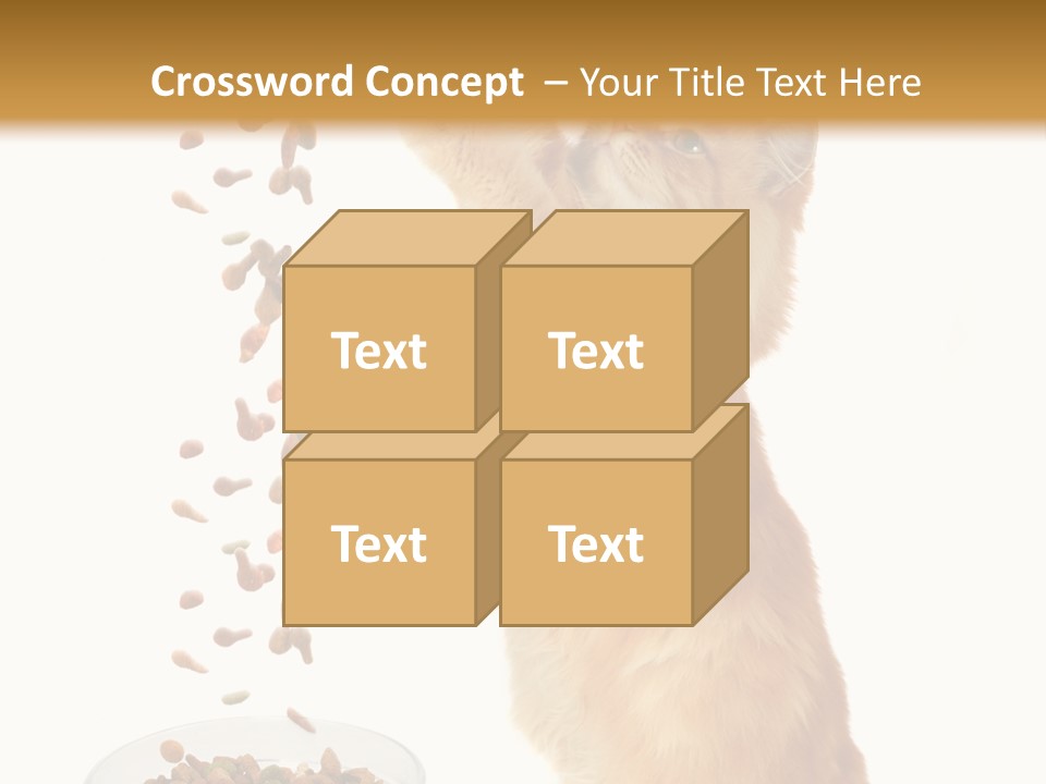 Health Feeding Snacks PowerPoint Template