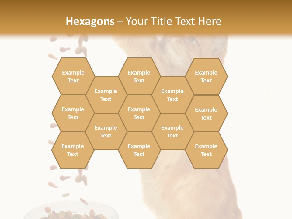 Health Feeding Snacks PowerPoint Template