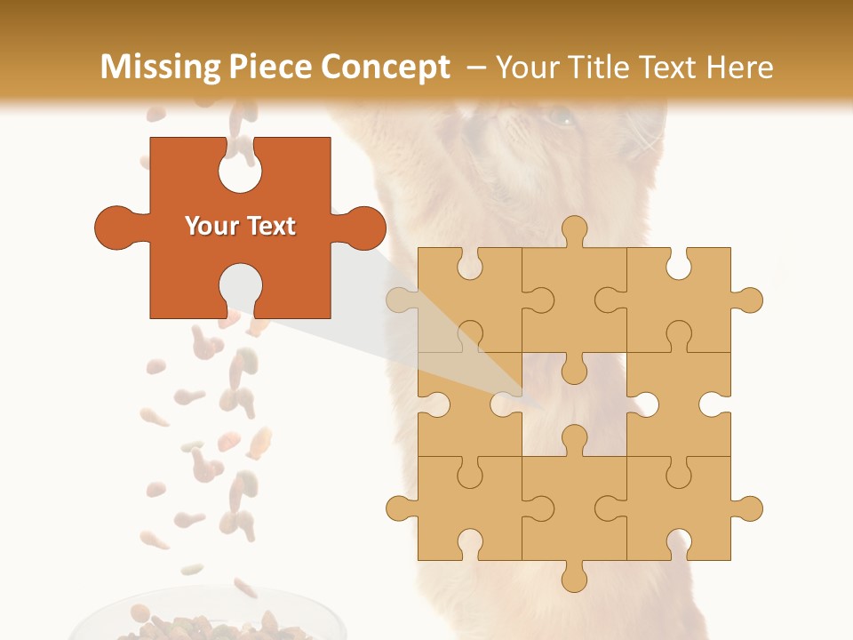 Health Feeding Snacks PowerPoint Template