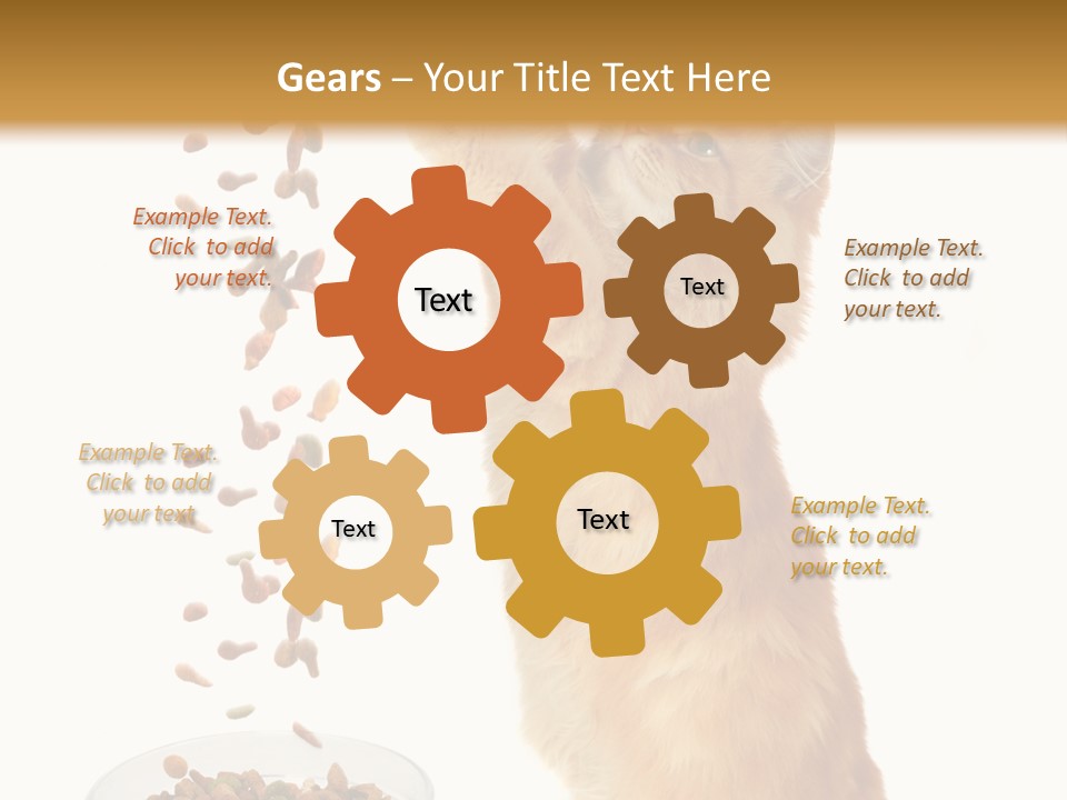 Health Feeding Snacks PowerPoint Template