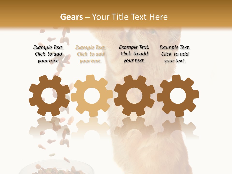 Health Feeding Snacks PowerPoint Template