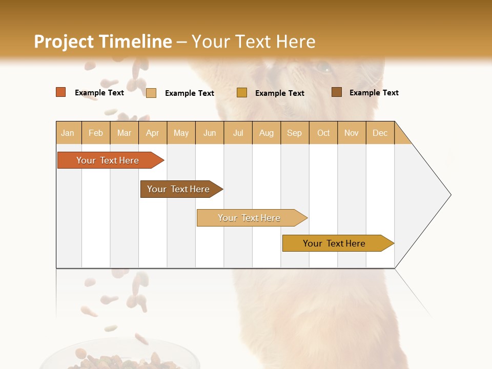 Health Feeding Snacks PowerPoint Template