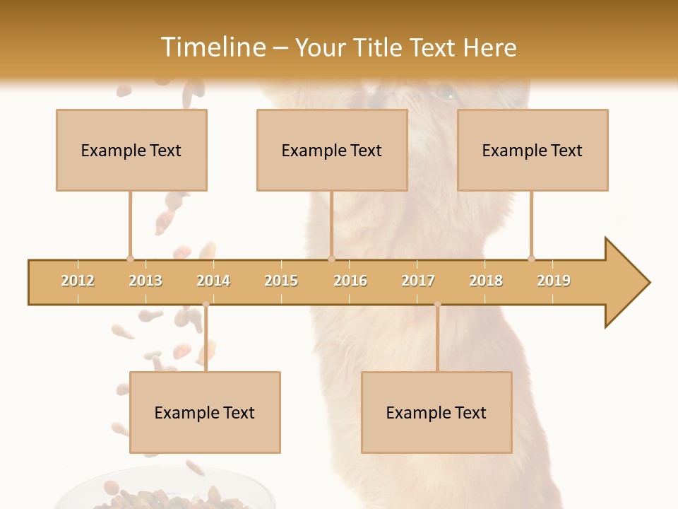 Health Feeding Snacks PowerPoint Template