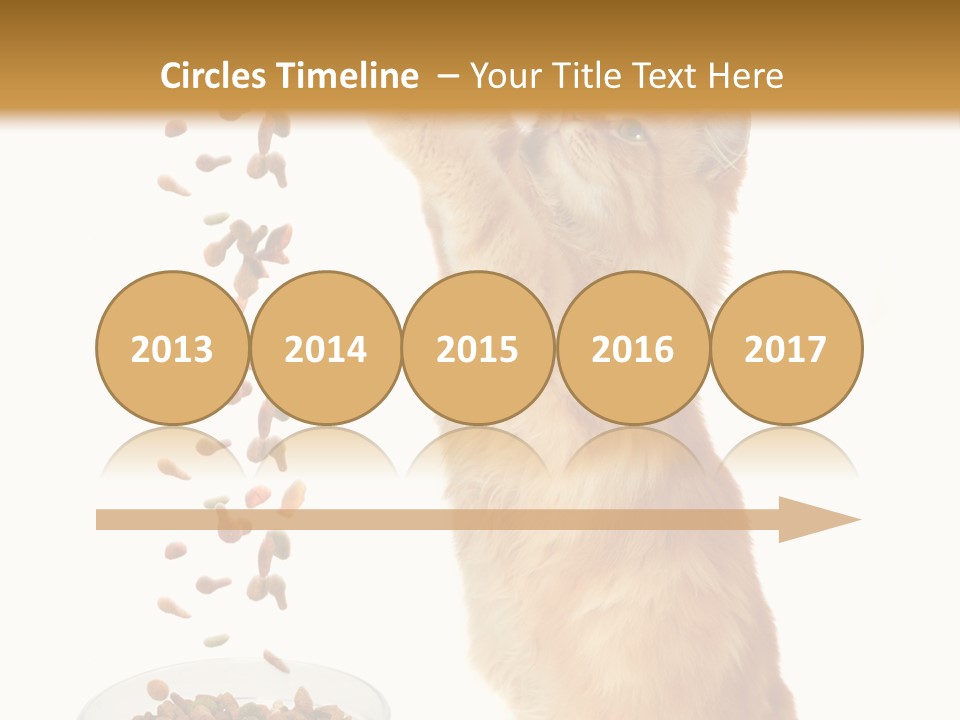 Health Feeding Snacks PowerPoint Template