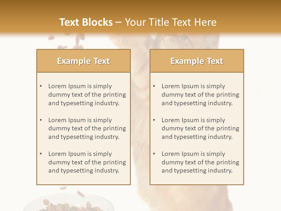 Health Feeding Snacks PowerPoint Template