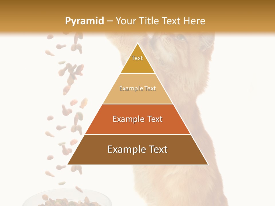 Health Feeding Snacks PowerPoint Template