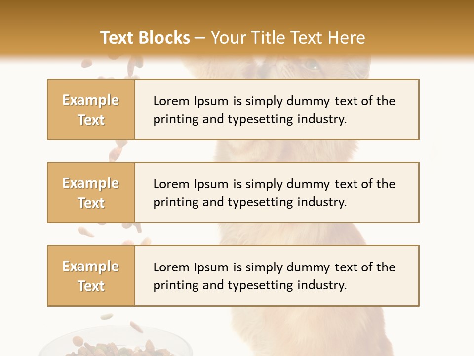 Health Feeding Snacks PowerPoint Template