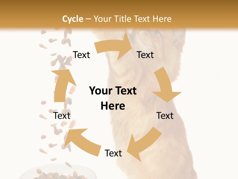 Health Feeding Snacks PowerPoint Template