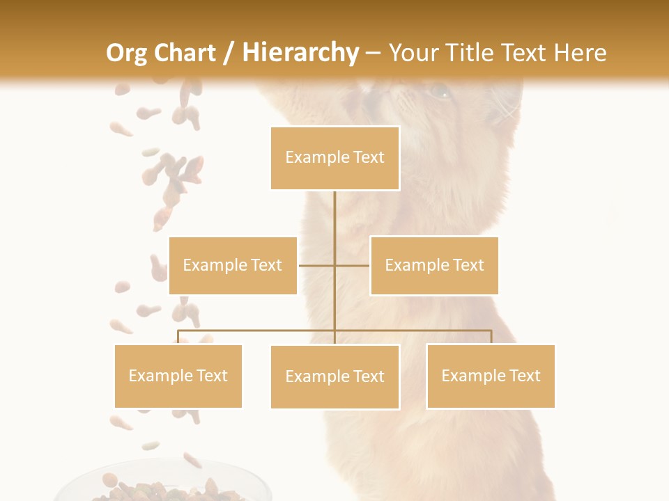 Health Feeding Snacks PowerPoint Template