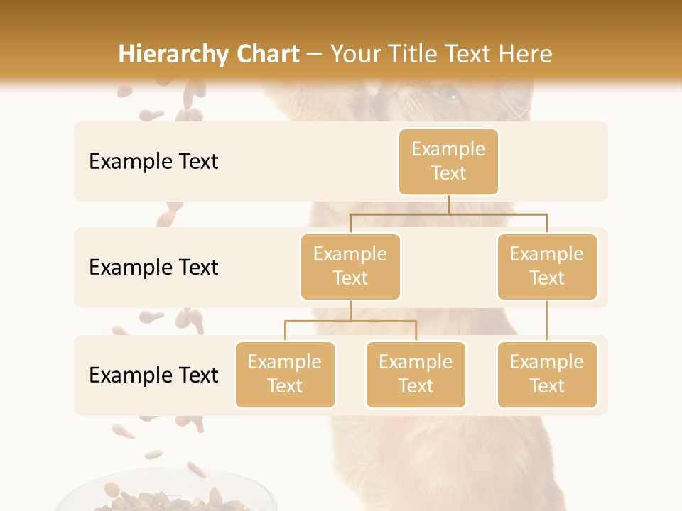 Health Feeding Snacks PowerPoint Template