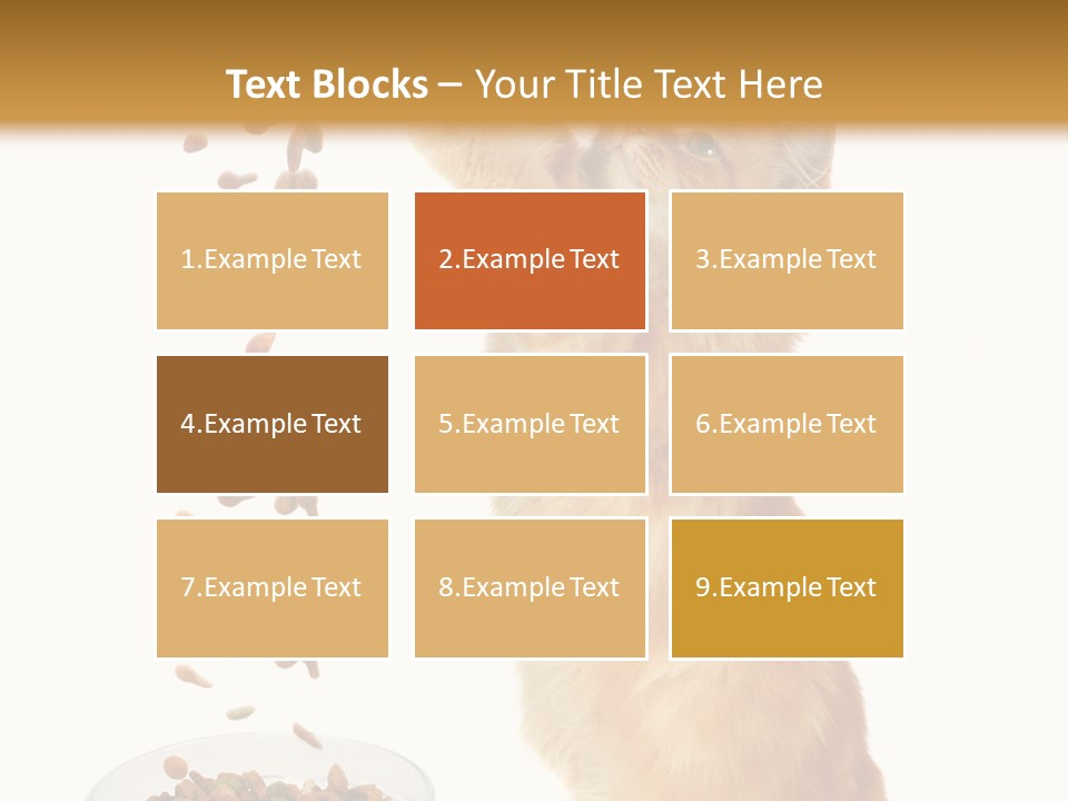 Health Feeding Snacks PowerPoint Template