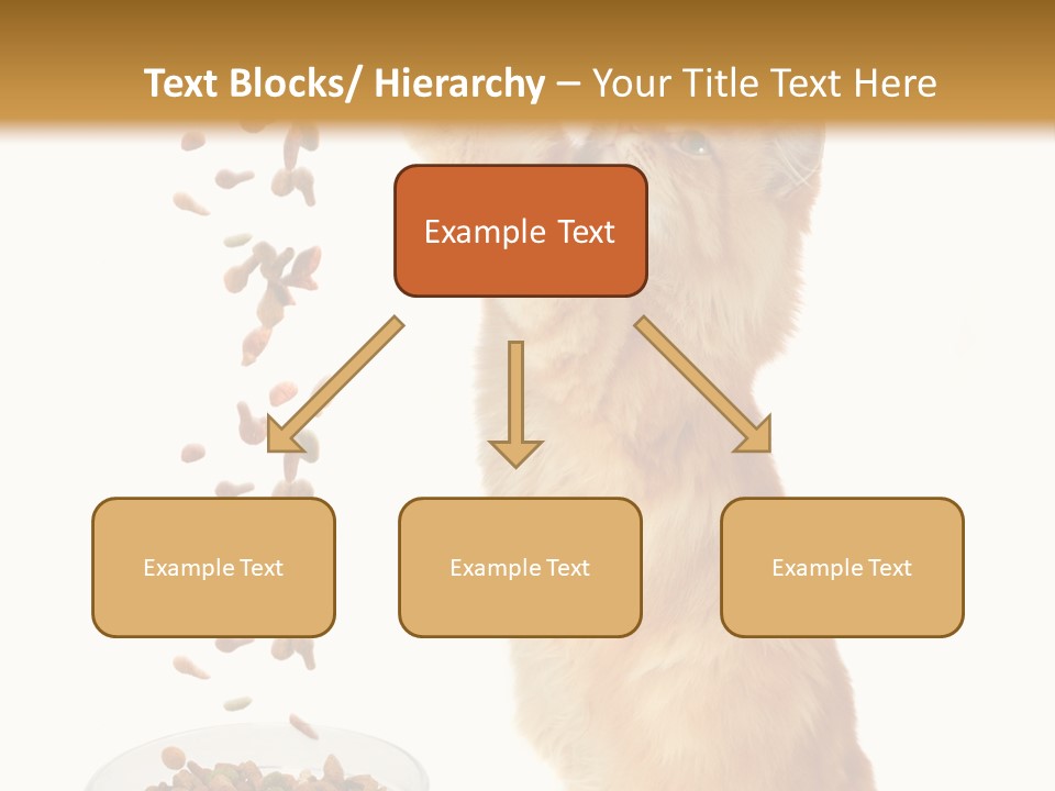Health Feeding Snacks PowerPoint Template