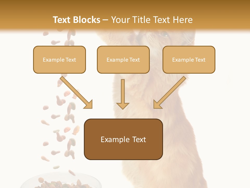 Health Feeding Snacks PowerPoint Template