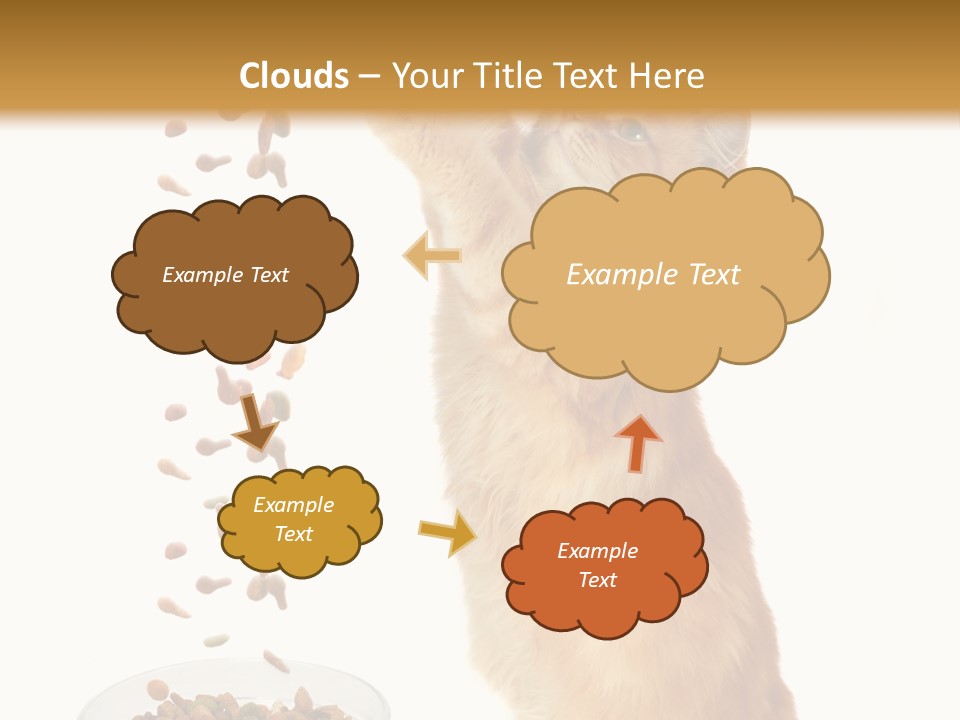 Health Feeding Snacks PowerPoint Template
