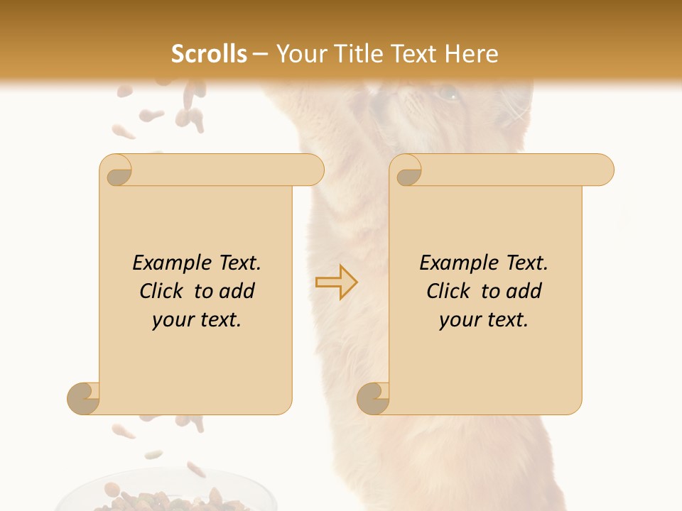 Health Feeding Snacks PowerPoint Template