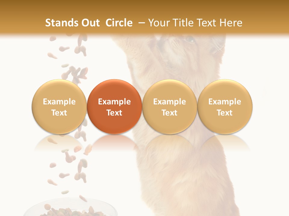 Health Feeding Snacks PowerPoint Template