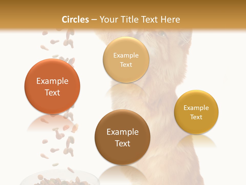 Health Feeding Snacks PowerPoint Template