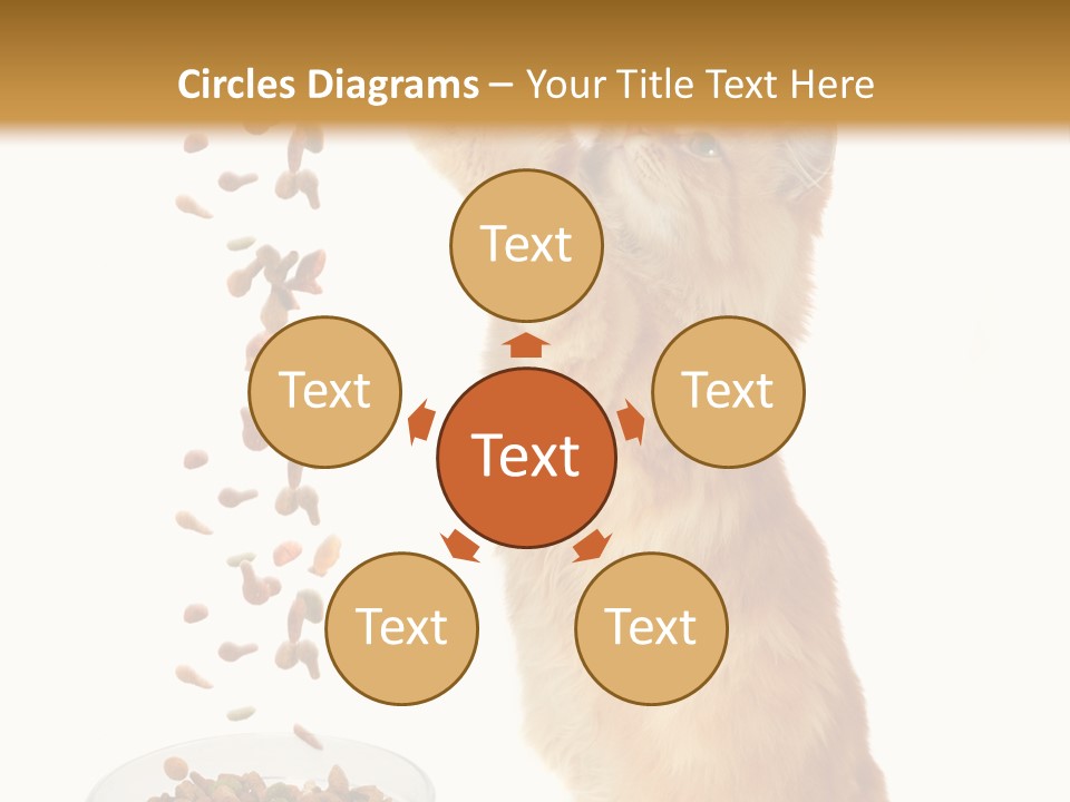 Health Feeding Snacks PowerPoint Template