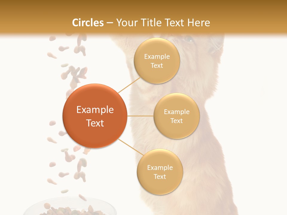 Health Feeding Snacks PowerPoint Template