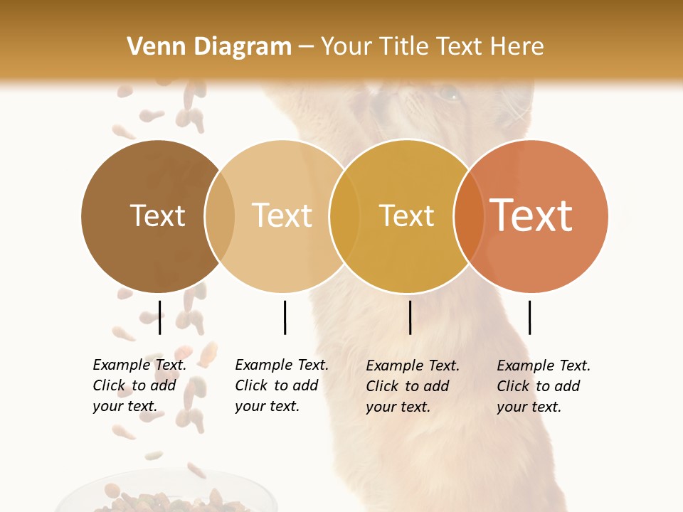 Health Feeding Snacks PowerPoint Template