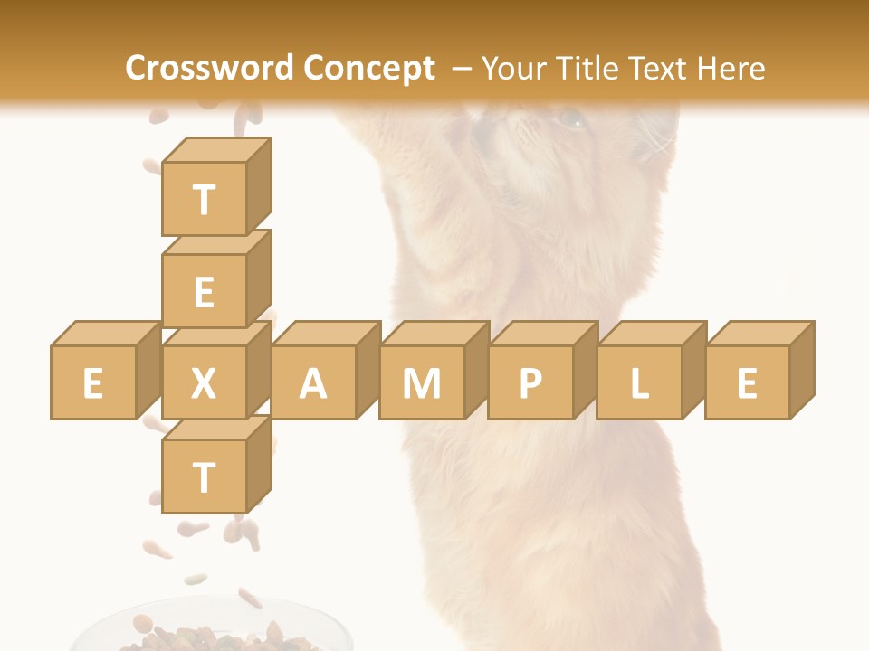 Health Feeding Snacks PowerPoint Template