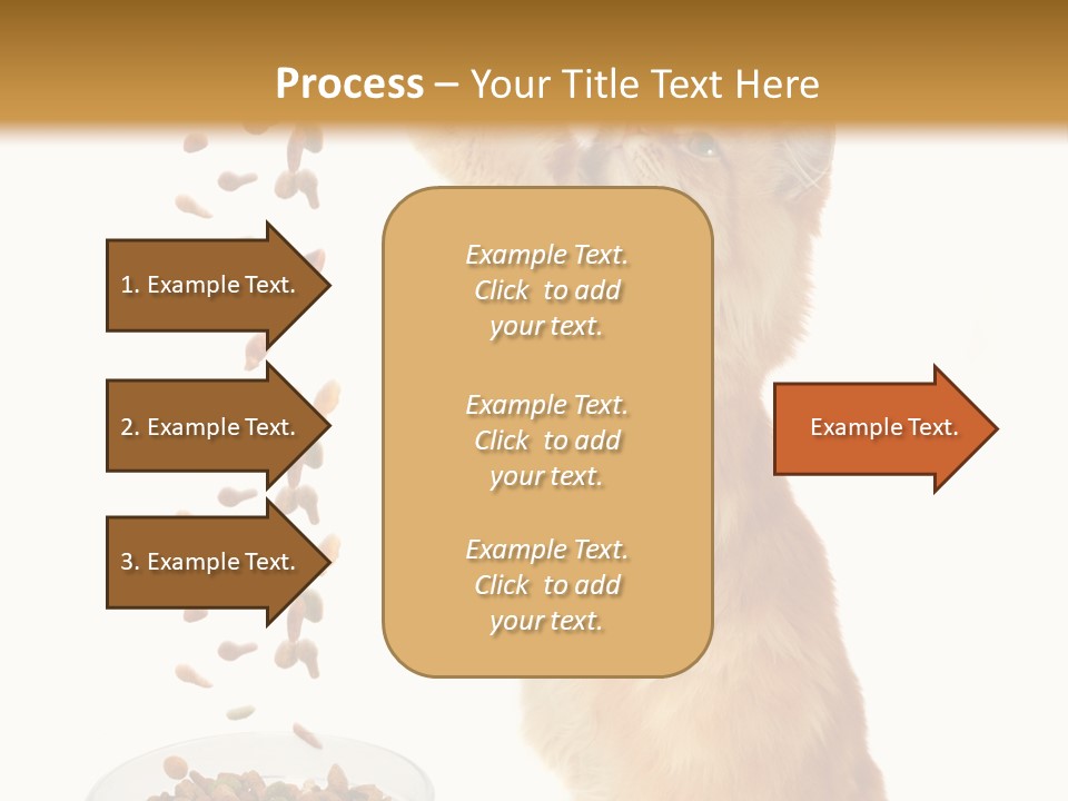 Health Feeding Snacks PowerPoint Template