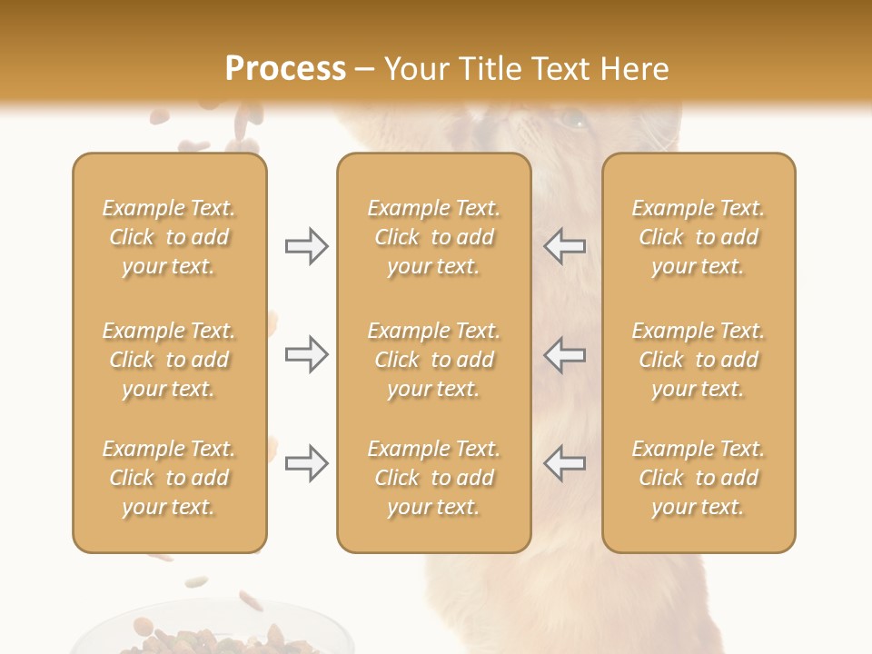 Health Feeding Snacks PowerPoint Template