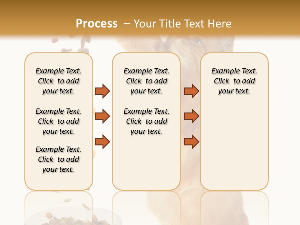 Health Feeding Snacks PowerPoint Template