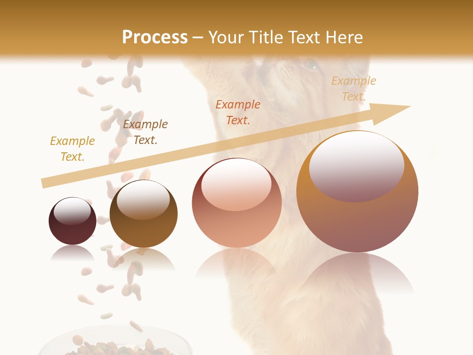 Health Feeding Snacks PowerPoint Template