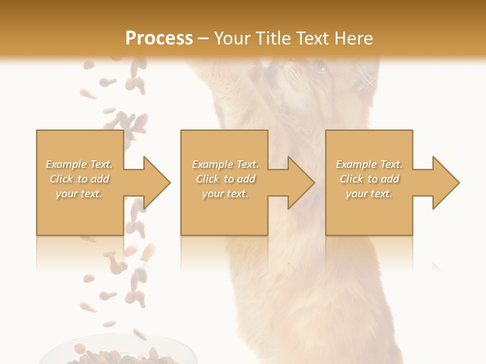 Health Feeding Snacks PowerPoint Template