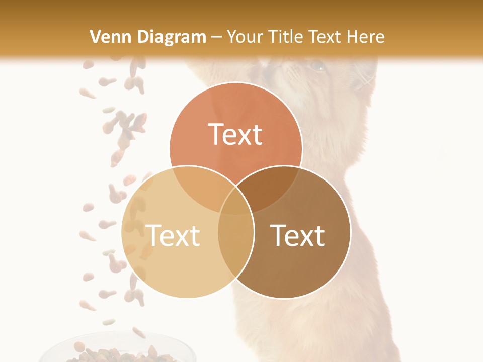 Health Feeding Snacks PowerPoint Template