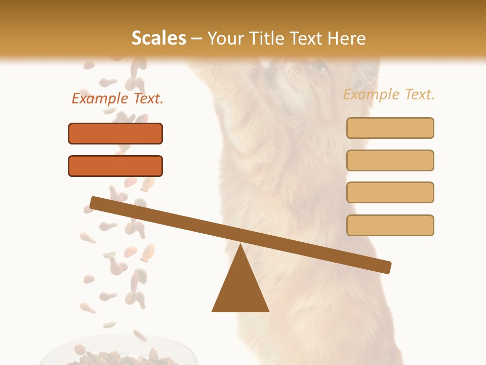 Health Feeding Snacks PowerPoint Template